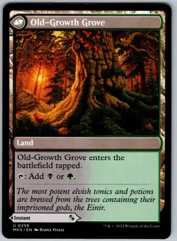 Revitalizing Repast U Modern Horizons 3 256 NM - Image 2