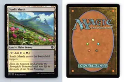 Sunlit Marsh #257/281 MTG Dominaria United 2022 Land TCG Card - Image 1