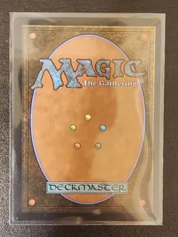 ×1 Dragonhawk, Fate's Tempest - MTG Bloomburrow - NM NEVER PLAYED - Image 2