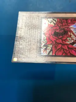 YUGIOH Secret Rare Black Rose Dragon CT05-EN003 PLAYED - Image 4