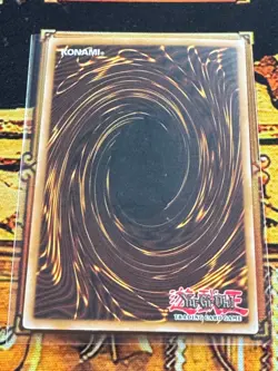 LP | Consecrated Light ABPF-EN033 Absolute Powerforce - Image 2