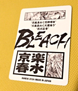 Shunsui Kyoraku Bleach Manga Anime ACG Waifu Goddess Story Card - Image 2