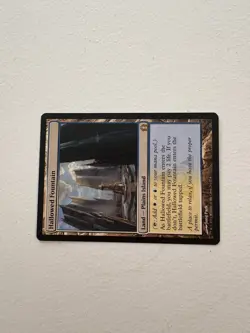Hallowed Fountain (Return to Ravnica) - Near Mint (NM) -Magic the Gathering -MTG - Image 2