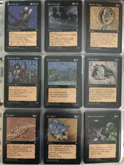 Magic the gathering Homelands complete set MTG 1995 - Image 1