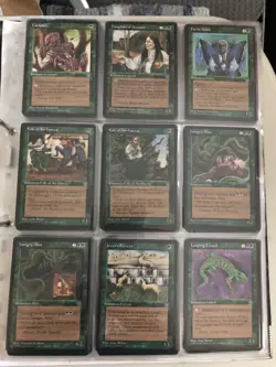Magic the gathering Homelands complete set MTG 1995 - Image 3