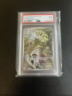2023 Pokemon Paldea Evolved Floragato IR PSA 9 English 197/193 - Image 1