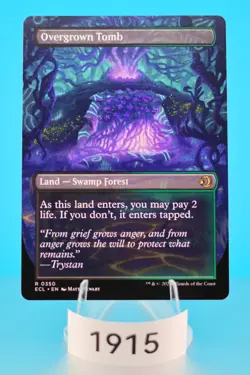 MTG Overgrown Tomb (Borderless) Lorwyn Eclipsed Regular #350 - Image 2