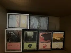 Mtg Bulk Basic Land Lot x3000 Magic The Gathering Bulk Basic Land Cards - Image 2