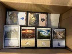 Mtg Bulk Basic Land Lot x3000 Magic The Gathering Bulk Basic Land Cards - Image 3