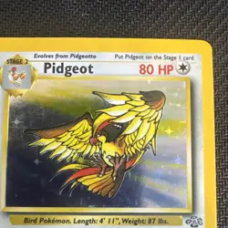 Pokemon TCG Pidgeot Jungle Holo Card 8/64 Unlimited Rare - Image 2