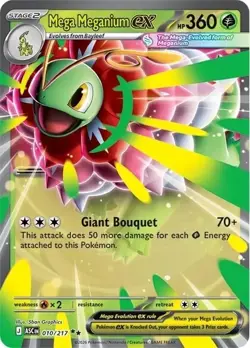 Pokemon TCG Mega Evolution Ascended Heroes EX Box - Mega Meganium (EN) PRE-ORDER - Image 3