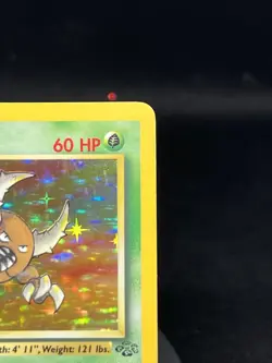 Pokemon TCG Pinsir 9/64 Jungle Holo Rare MP - Image 3