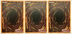 3 x DASA-EN026 Training Fur Hire Fur All Your Training Needs - Secret 1st LP/NM - Image 2