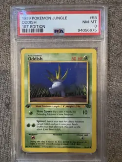 12× Pokemon Jungle 1st Edition PSA Slabs Lot (PSA 8–9) – NM+ WOTC (11 8s & 1 9) - Image 2