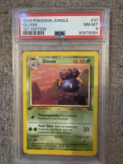 12× Pokemon Jungle 1st Edition PSA Slabs Lot (PSA 8–9) – NM+ WOTC (11 8s & 1 9) - Image 3