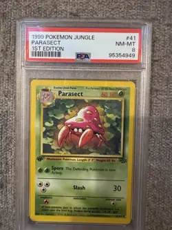 12× Pokemon Jungle 1st Edition PSA Slabs Lot (PSA 8–9) – NM+ WOTC (11 8s & 1 9) - Image 4