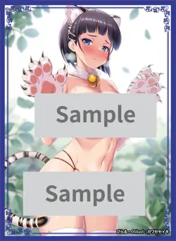 Sword art Online Secret SAO Suguha Kirigaya doujin Card Sleeve Protector - Image 1