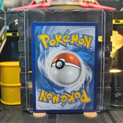 Eevee Fusion Strike Pokemon TCG 205/264 Sword & Shield Common - Image 5