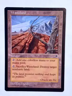 Wasteland Tempest LP-NM x1 MTG Magic the Gathering Card (RG05) - Image 1