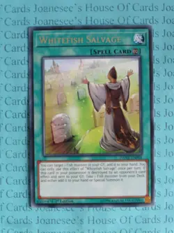 Whitefish Salvage - DANE-EN098 - Rare - 1st Edition Yugioh - Image 1