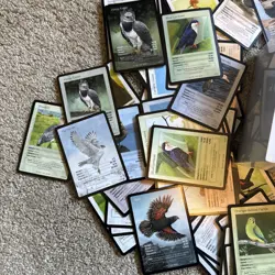 LIFE TCG First Edition Gold - BIRDS - SEALED BOOSTER BOX & 100+ CARDS AS SEEN! - Image 2
