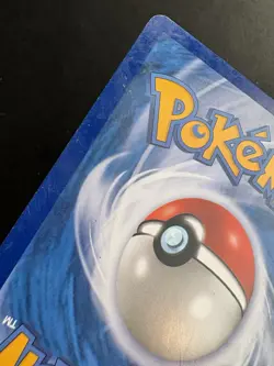 Poochyena 116/146 & Mightyena 66/146 Lot Legends Awakened Pokemon TCG LP/MP - Image 4