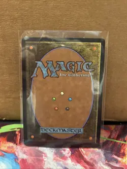 Abundant Countryside (Extended Art) Commander: Lorwyn Eclipsed Regular Near Mint - Image 2