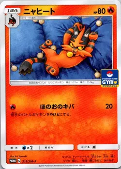 Torracat SM-P: Sun & Moon Promos 313/SM-P NM - Image 1