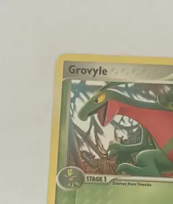 Grovyle 7/17 Pop Series 4 Non-Holo Pokemon Card 2006 - Image 3