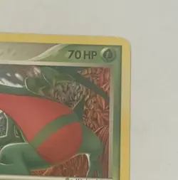 Grovyle 7/17 Pop Series 4 Non-Holo Pokemon Card 2006 - Image 4