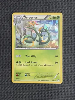 Serperior (5) 5/114 Black and White Cracekd Ice Holo LP/NM Pokemon TCG - Image 1