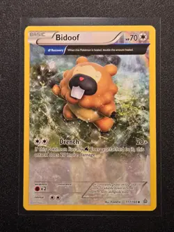 Bidoof 117/160 Full Art Pokemon TCG Primal Clash LP - Image 1