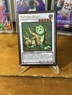 Yu-Gi-Oh Card: Naturia Beast GLD5-EN032 Gold Rare Limited Edition! NM - Image 1