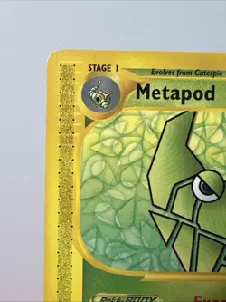 METAPOD - 87/165 - Expedition Base Set - Uncommon - Pokemon Card - Image 2