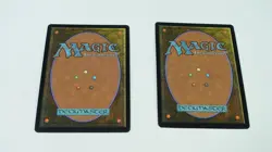 MTG Paradise Chocobo Birds of Paradise Borderless (Foil) X2 FINAL FANTASY - Image 2
