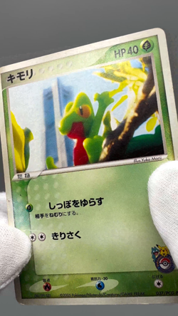 Treecko 037/PCG-P Promo Yokohama Opening 2005 Japanese Pokemon Card - Image 2