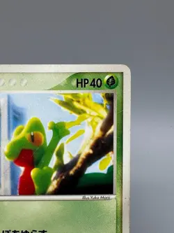 Treecko 037/PCG-P Promo Yokohama Opening 2005 Japanese Pokemon Card - Image 5
