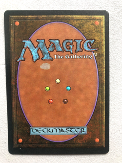 Mtg Carte Magic Fbb Foreign Black Bordered Karma French LP/MP - Image 2