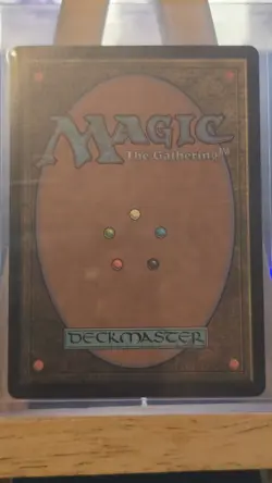 Virtue of Loyalty (Showcase) Wilds of Eldraine Regular NM - Image 2