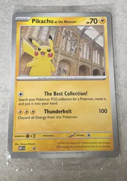 Pokemon x Natural History Museum Promo - Pikachu At The Museum - Image 1