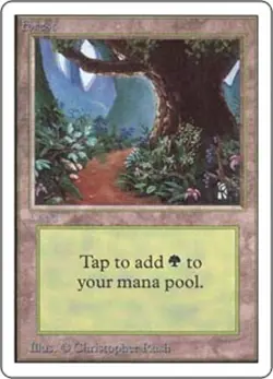 4x MTG Forest (B), Moderate Play, English Unlimited - Image 1