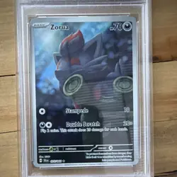 Pokemon Zorua Illustration Rare Holo Sv: Shrouded Fable 075/064 PSA 9 TCG - Image 3