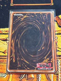 Des Frog CRV-EN026 Cybernetic Revolution - Image 2