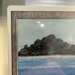 MTG Tropical Island Revised Edition - Dual Land - EX-NM - Image 3
