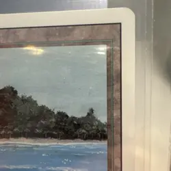 MTG Tropical Island Revised Edition - Dual Land - EX-NM - Image 4