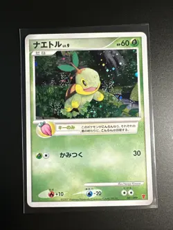 2007 Near Mint Pokemon Turtwig 001/PPP PPP Promos Japanese - Image 1