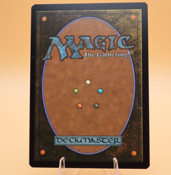 Arcane Signet #7065 | Rare | Borderless Rainbow Foil | Furby | Secret Lair | MTG - Image 2