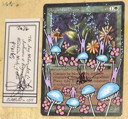 MTG Argothian Pixies Alter Altered Sketch Art Amy WEBER Magic - Image 1