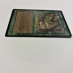 Hidden Path LP The Dark English MTG 1994 Rob Alexander Green Gains Forestwalk - Image 3