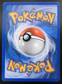 POKEMON MUDKIP 65/97 REGULAR EX DRAGON 2003 NINTENDO LP - Image 2